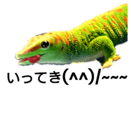 386113809