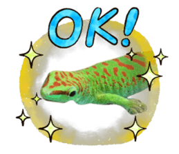 386113819