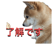 386122969