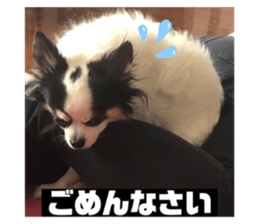 386137370