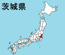 386143829