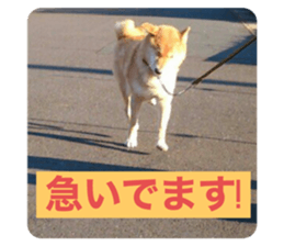 386386498