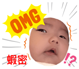 386499091