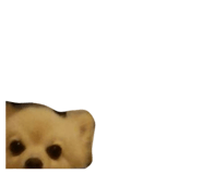 386512451
