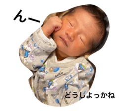 386553055