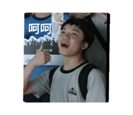 386593557
