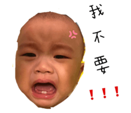 386714656