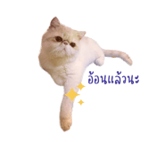 386731139