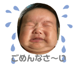 386813576