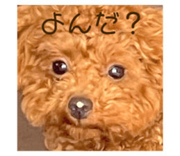 386863124