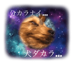 386915476
