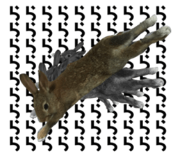 387070517
