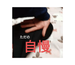 387072018