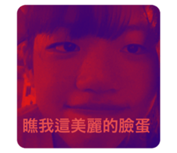387077746