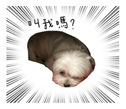 387081767