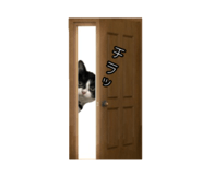 387114855