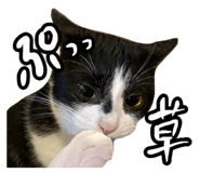 387114869