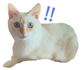 387196998