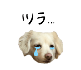 387207885