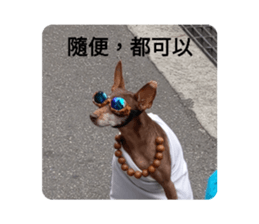 387254177