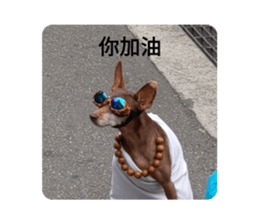 387254181