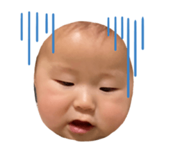 387255244
