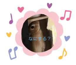 387272514