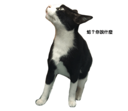 387276107