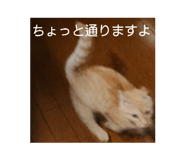 387333752