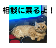 387333758