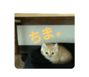 387333766