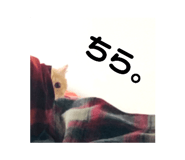 387333768