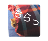 387333769