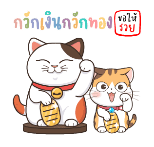 สอยดาว:ซัมเมอร์ รูปที่ 1