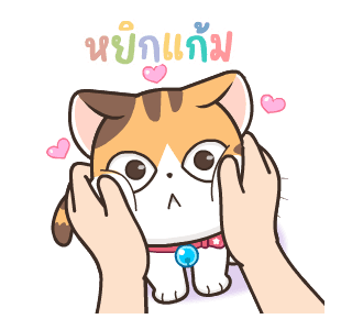 สอยดาว:ซัมเมอร์ รูปที่ 6