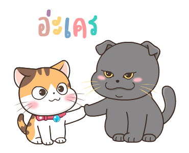 สอยดาว:ซัมเมอร์ รูปที่ 11