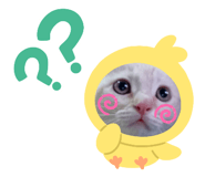 387399938