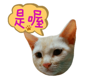 387399940