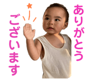 387426588