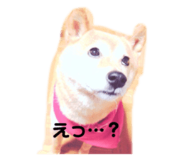387435904