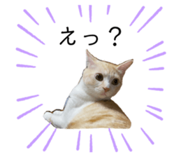 387457165