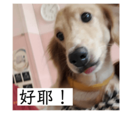 387536685