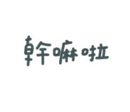 387603081