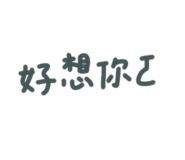 387603096