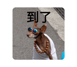 387605195