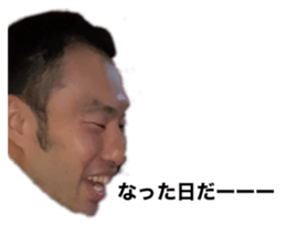 387620620