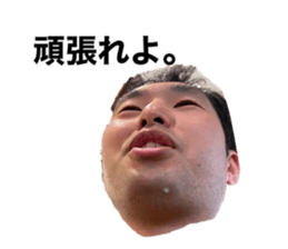 387620628