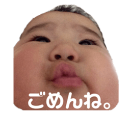 387642181
