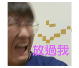 387642519