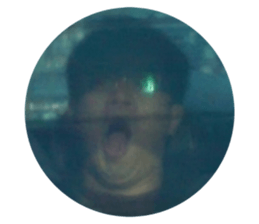 387681995